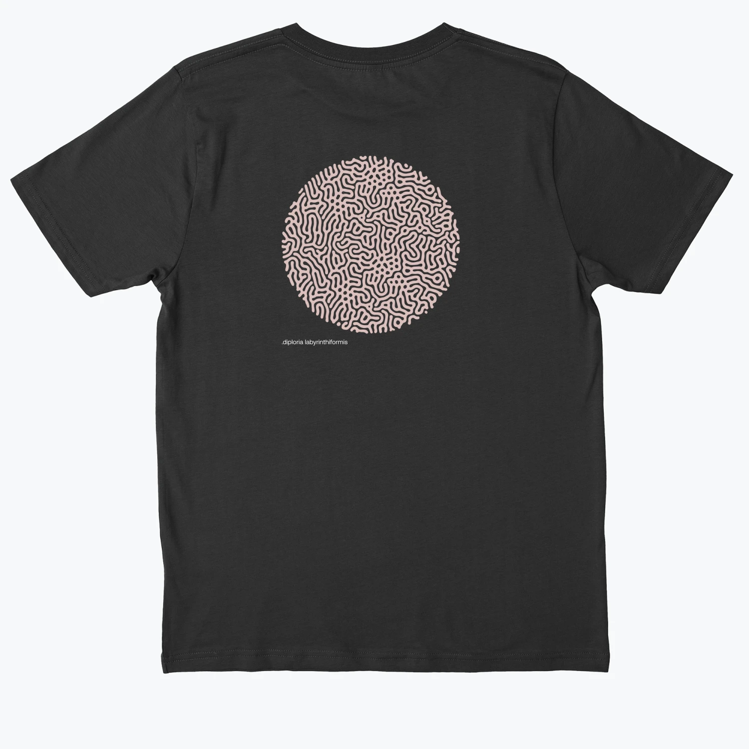 .DIPLORIA LABYRINTHIFORMIS X - Image 4
